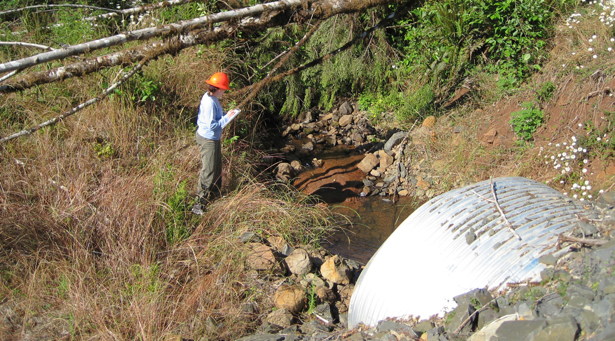 Person standing on edge of culvert