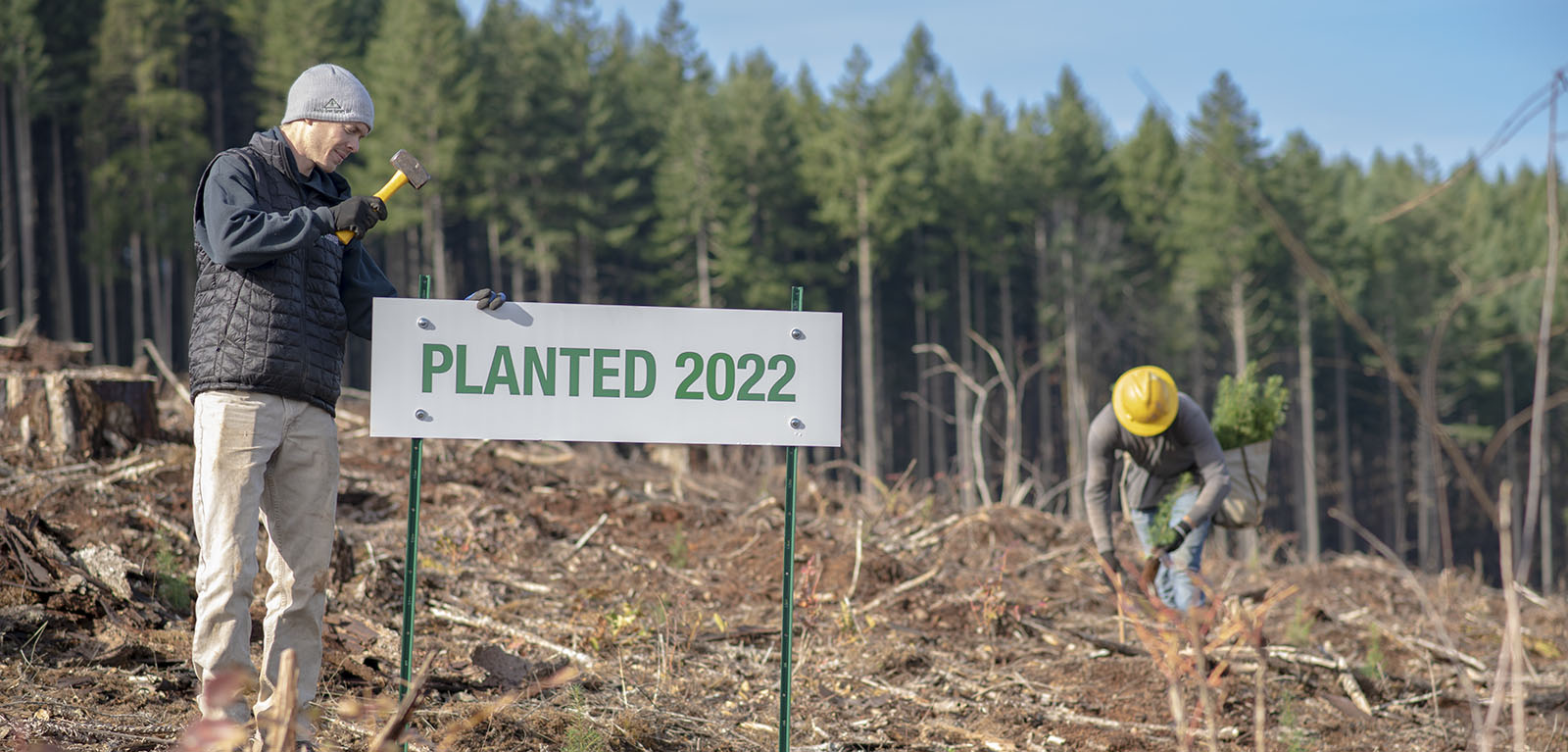 Person hammering "planted 2022" sign