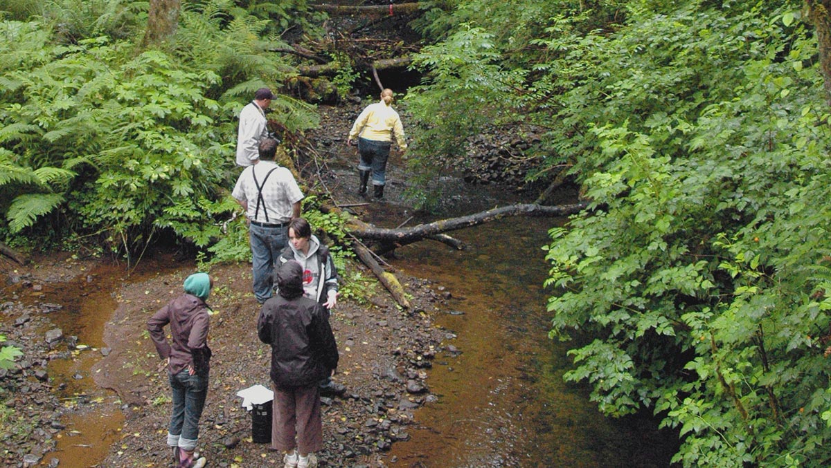 Group walking through river in forest